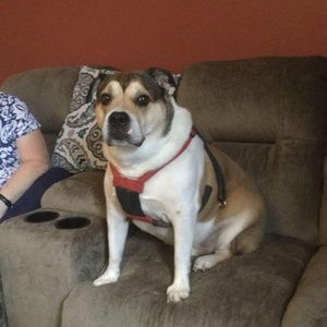 Meet your Posher, Deb